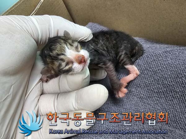 종료(자연사) 한국…